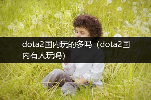 dota2国内玩的多吗（dota2国内有人玩吗）