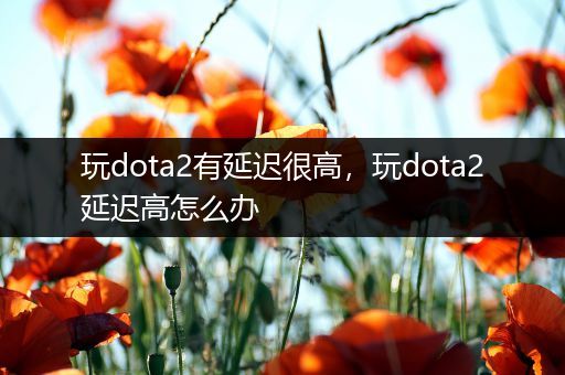 玩dota2有延迟很高，玩dota2延迟高怎么办