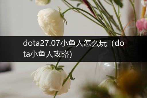 dota27.07小鱼人怎么玩（dota小鱼人攻略）