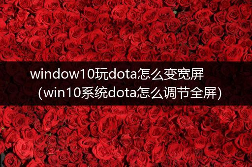 window10玩dota怎么变宽屏（win10系统dota怎么调节全屏）