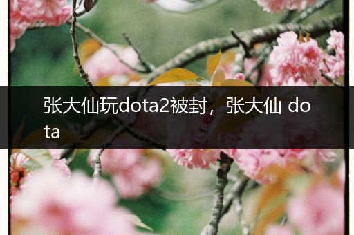 张大仙玩dota2被封，张大仙 dota