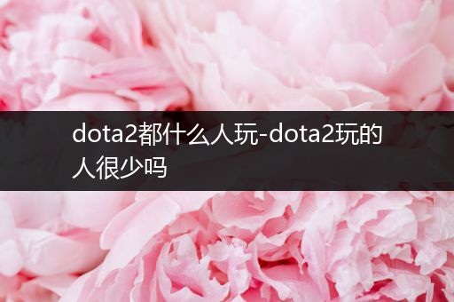 dota2都什么人玩-dota2玩的人很少吗