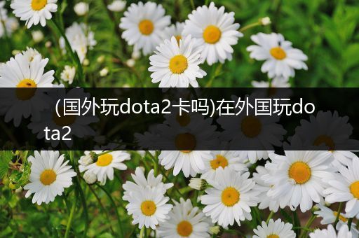 （国外玩dota2卡吗)在外国玩dota2