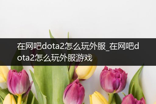 在网吧dota2怎么玩外服_在网吧dota2怎么玩外服游戏