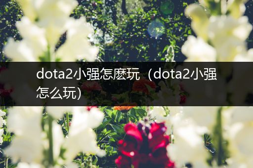 dota2小强怎麽玩（dota2小强怎么玩）