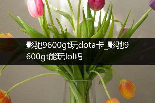 影驰9600gt玩dota卡_影驰9600gt能玩lol吗