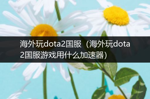 海外玩dota2国服（海外玩dota2国服游戏用什么加速器）