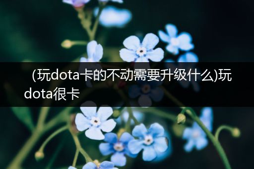 （玩dota卡的不动需要升级什么)玩dota很卡