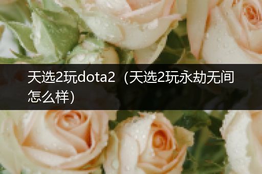 天选2玩dota2（天选2玩永劫无间怎么样）