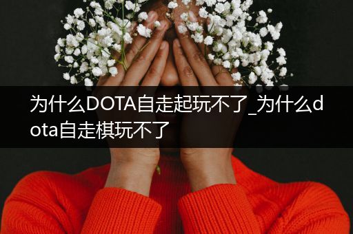 为什么DOTA自走起玩不了_为什么dota自走棋玩不了