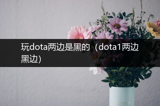 玩dota两边是黑的（dota1两边黑边）