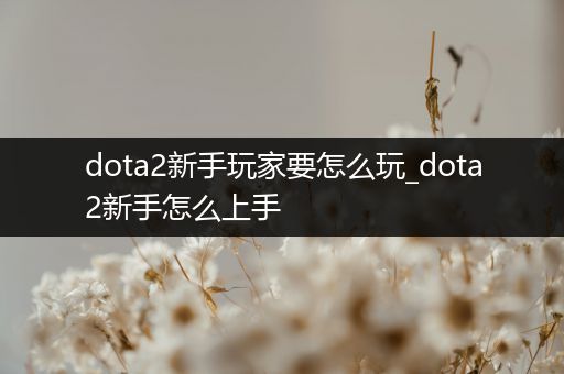 dota2新手玩家要怎么玩_dota2新手怎么上手