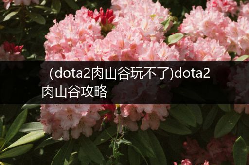 （dota2肉山谷玩不了)dota2肉山谷攻略