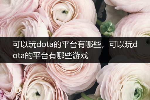 可以玩dota的平台有哪些，可以玩dota的平台有哪些游戏