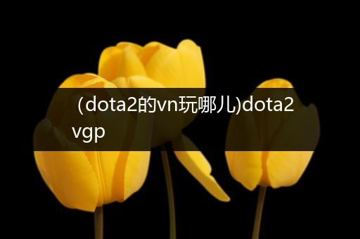（dota2的vn玩哪儿)dota2 vgp