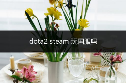 dota2 steam 玩国服吗