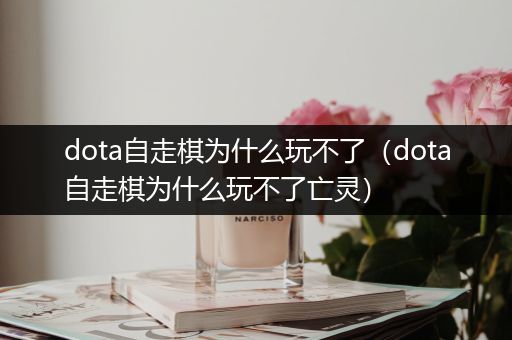 dota自走棋为什么玩不了（dota自走棋为什么玩不了亡灵）