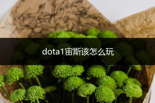 dota1宙斯该怎么玩