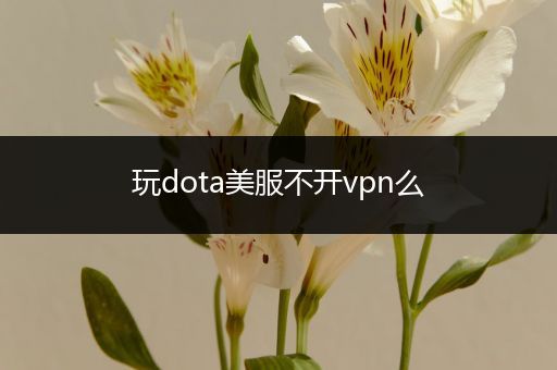 玩dota美服不开vpn么