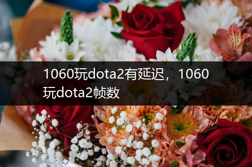 1060玩dota2有延迟，1060玩dota2帧数