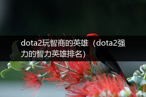 dota2玩智商的英雄（dota2强力的智力英雄排名）