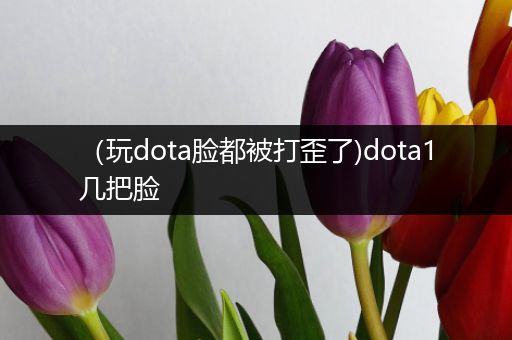 （玩dota脸都被打歪了)dota1几把脸