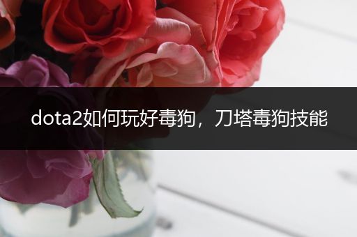 dota2如何玩好毒狗，刀塔毒狗技能