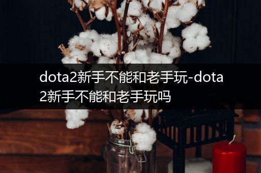 dota2新手不能和老手玩-dota2新手不能和老手玩吗