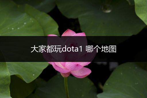 大家都玩dota1 哪个地图