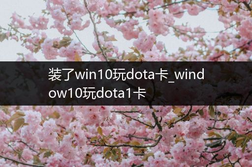 装了win10玩dota卡_window10玩dota1卡