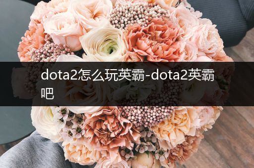 dota2怎么玩英霸-dota2英霸吧