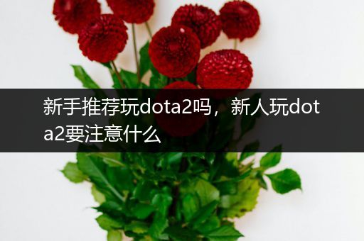 新手推荐玩dota2吗，新人玩dota2要注意什么