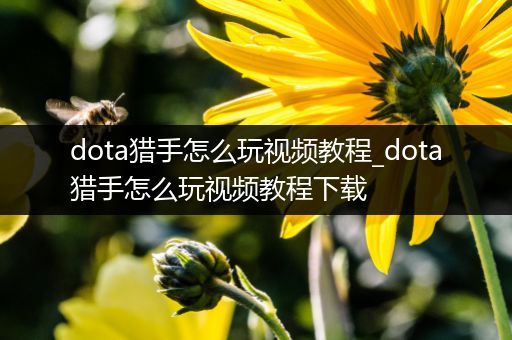 dota猎手怎么玩视频教程_dota猎手怎么玩视频教程下载