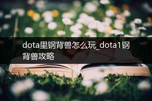 dota里钢背兽怎么玩_dota1钢背兽攻略