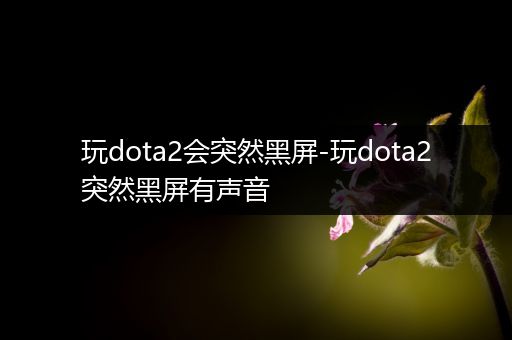玩dota2会突然黑屏-玩dota2突然黑屏有声音