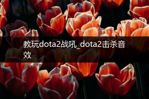 教玩dota2战吼_dota2击杀音效