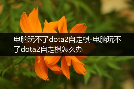 电脑玩不了dota2自走棋-电脑玩不了dota2自走棋怎么办