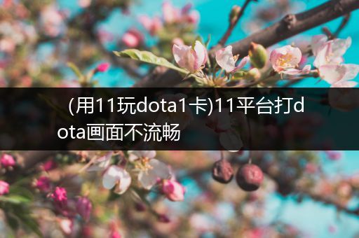 （用11玩dota1卡)11平台打dota画面不流畅