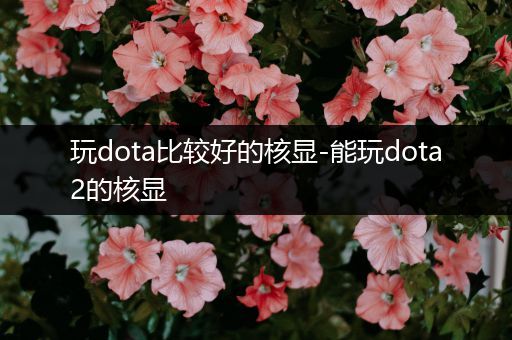 玩dota比较好的核显-能玩dota2的核显