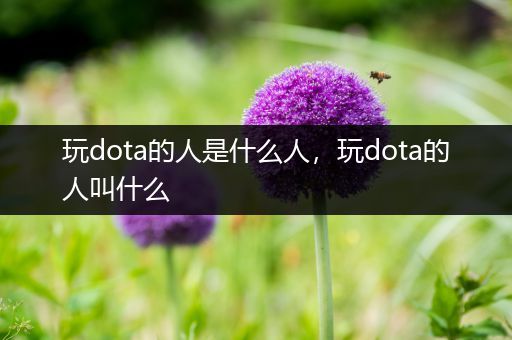 玩dota的人是什么人，玩dota的人叫什么