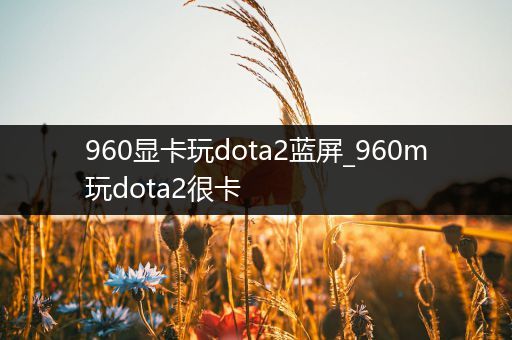 960显卡玩dota2蓝屏_960m玩dota2很卡