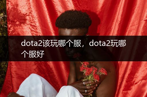 dota2该玩哪个服，dota2玩哪个服好