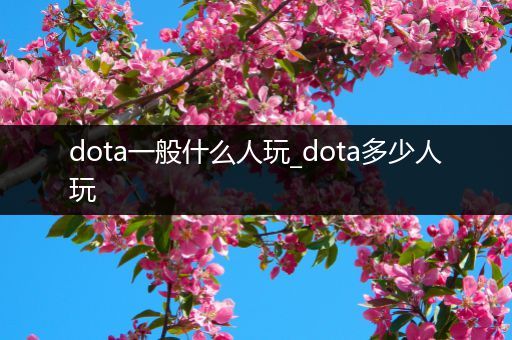 dota一般什么人玩_dota多少人玩