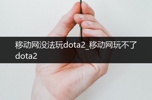 移动网没法玩dota2_移动网玩不了dota2