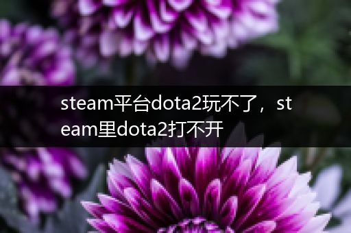 steam平台dota2玩不了，steam里dota2打不开