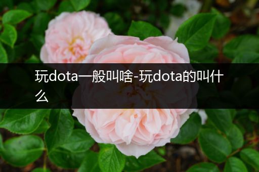 玩dota一般叫啥-玩dota的叫什么