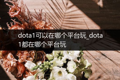 dota1可以在哪个平台玩_dota1都在哪个平台玩