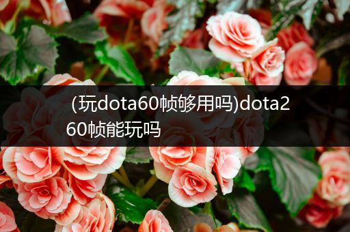 （玩dota60帧够用吗)dota2 60帧能玩吗