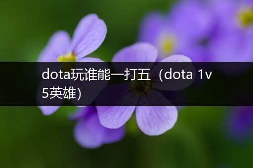 dota玩谁能一打五（dota 1v5英雄）