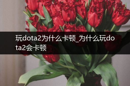 玩dota2为什么卡顿_为什么玩dota2会卡顿